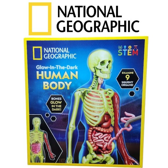 National Geographic | Toys | New National Geographic Glowinthedark ...